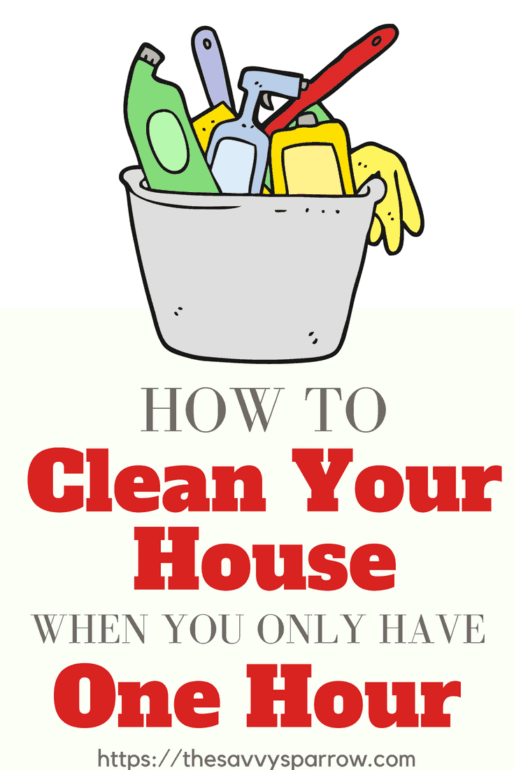 Cleaning Tips for How to Clean Your House when you only have one hour!