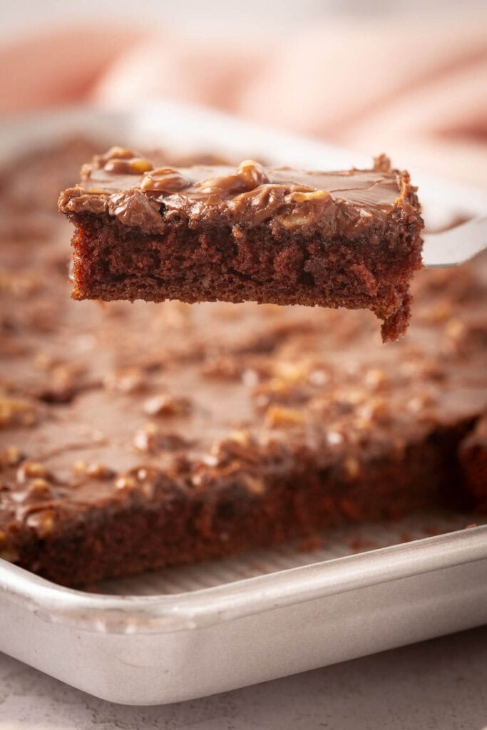 square of Texas chocolate sheet cake
