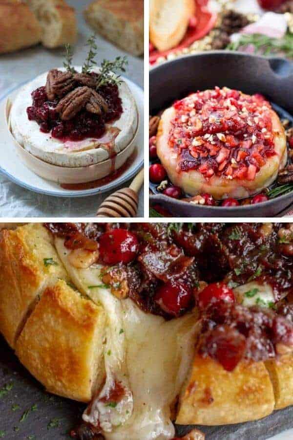 Easy and Elegant Holiday appetizers for Thanksgiving and Christmas! (3 ...