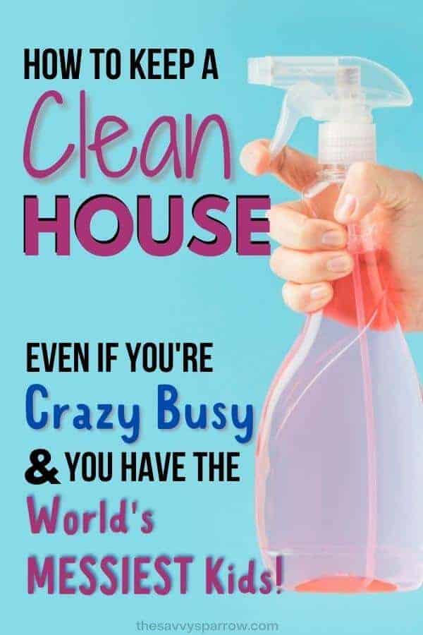 cleaning bottle plus the words how to keep a clean house