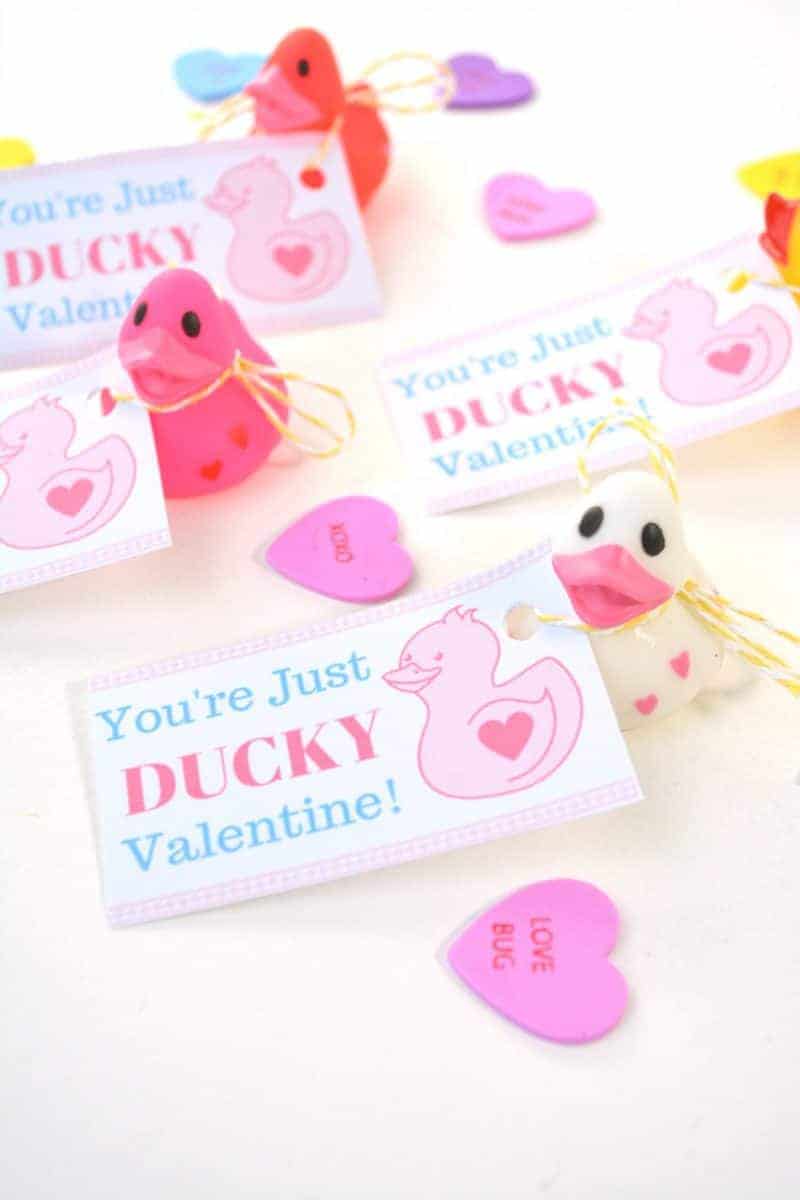 rubber ducky printable non candy Valentines cards