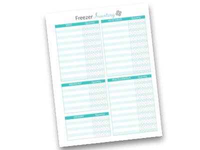 Organizing the Freezer (with Printable Freezer Inventory & Labels!) - The  Homes I Have Made