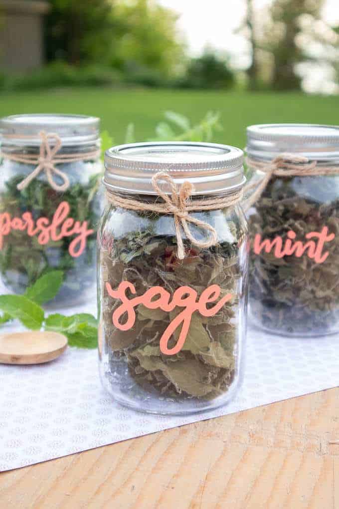 Cricut Spice Jar Labels – Beginner Series - InsideOutlined