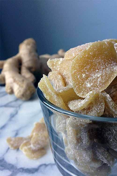 crystallized ginger Christmas candy in a glass bowl