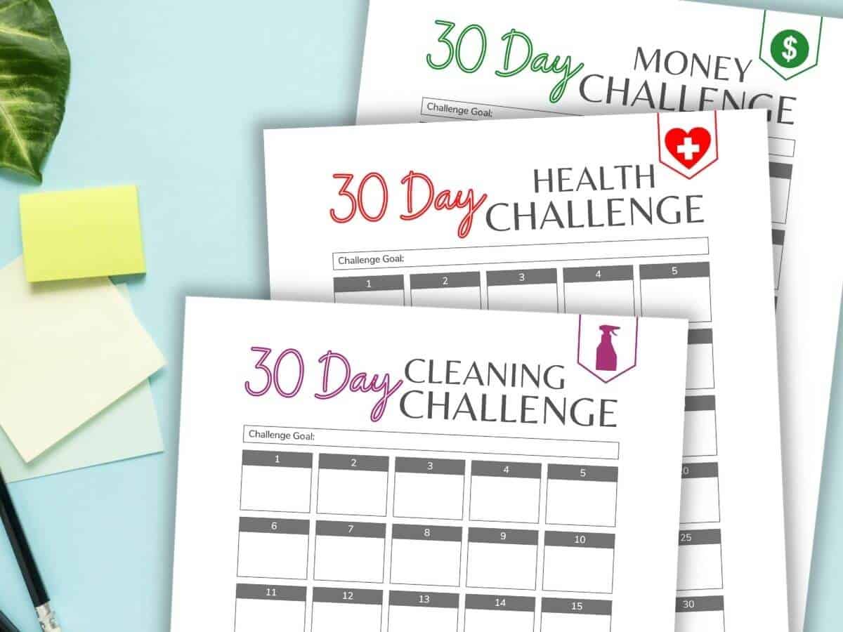 30 day challenge printable worksheets