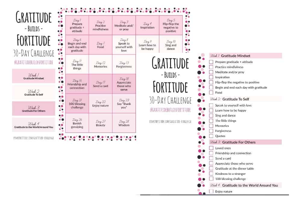 printable 30 day gratitude challenge worksheets