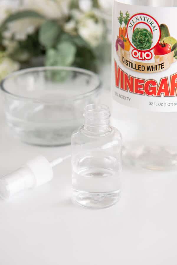 mini spray bottle filled with water and vinegar