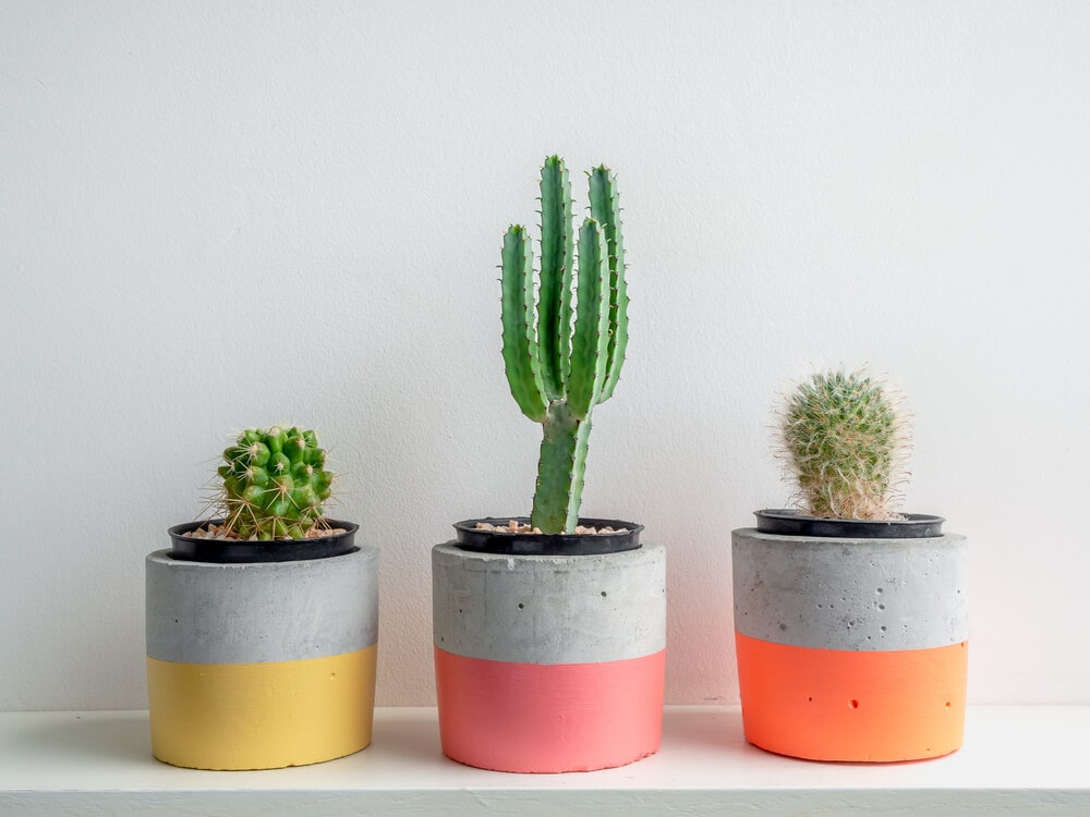 3 round succulent planters painted with neon colors