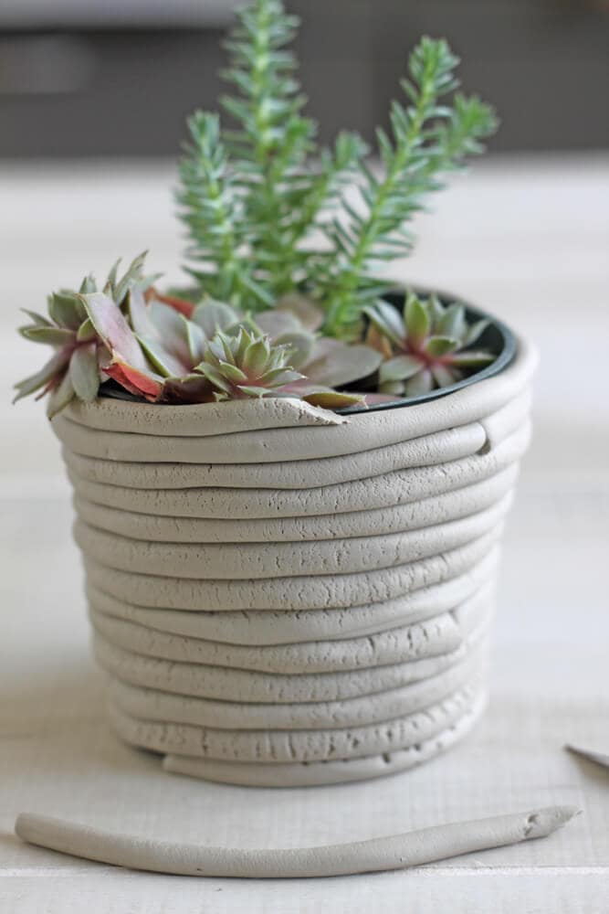 DIY succulent vase