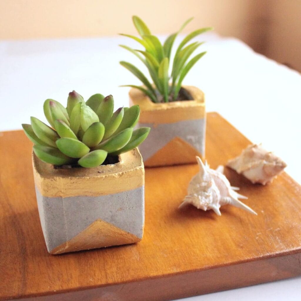 DIY succulent planters made from concrete