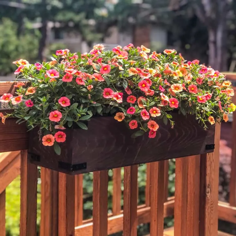 deck railing planter box with flowers