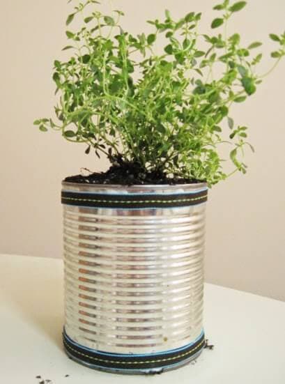 tin can turned into a planter pot