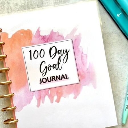100 day goal journal