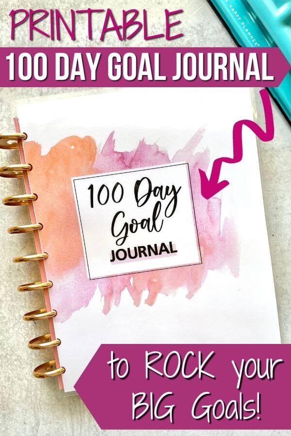 100 day goal journal