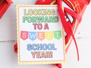 38 Back to School Teacher Gifts for the First Day of School