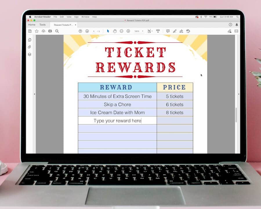 screenshot on laptop of PDF list of ticket rewards