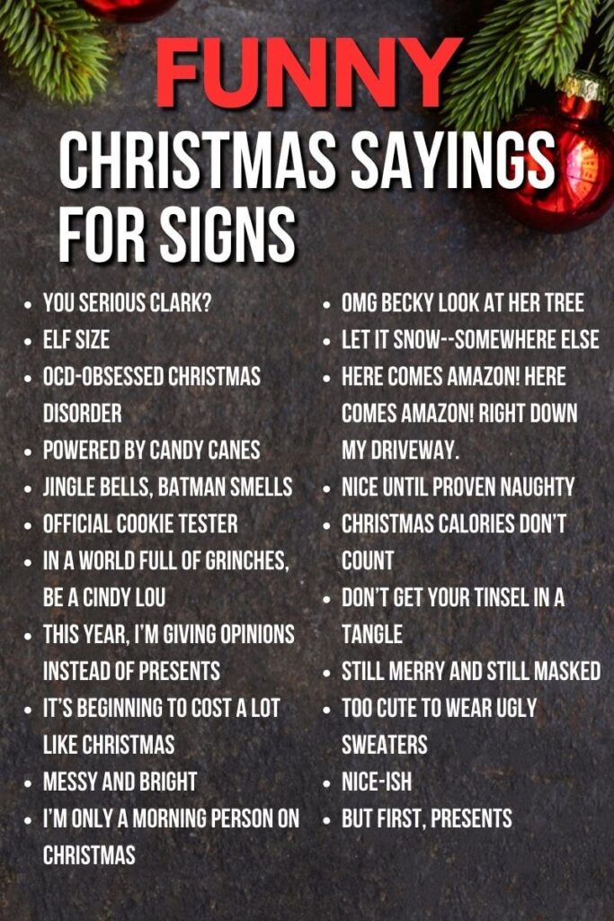 funny Christmas sayings for signs