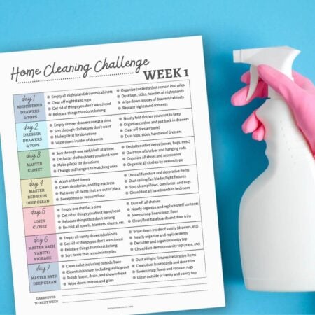 printable home cleaning challenge PDF