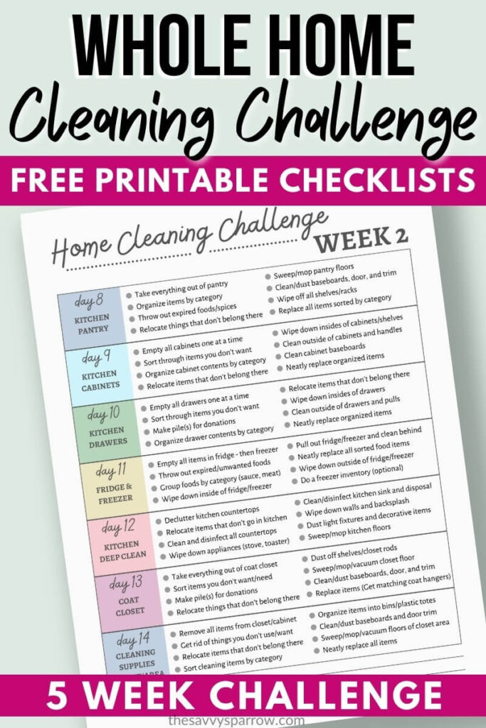 whole home cleaning and organization challenge PDF