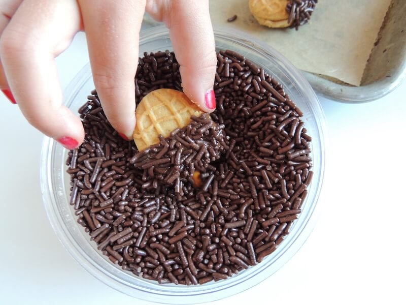 dipping acorn cookies into sprinkles