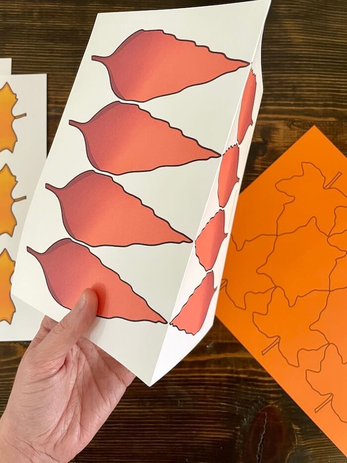 folding printable Fall leaf template in half