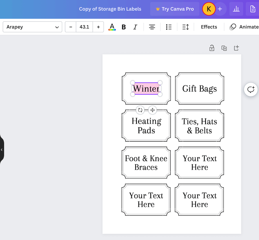 screen shot of storage bin labels printable in Canva