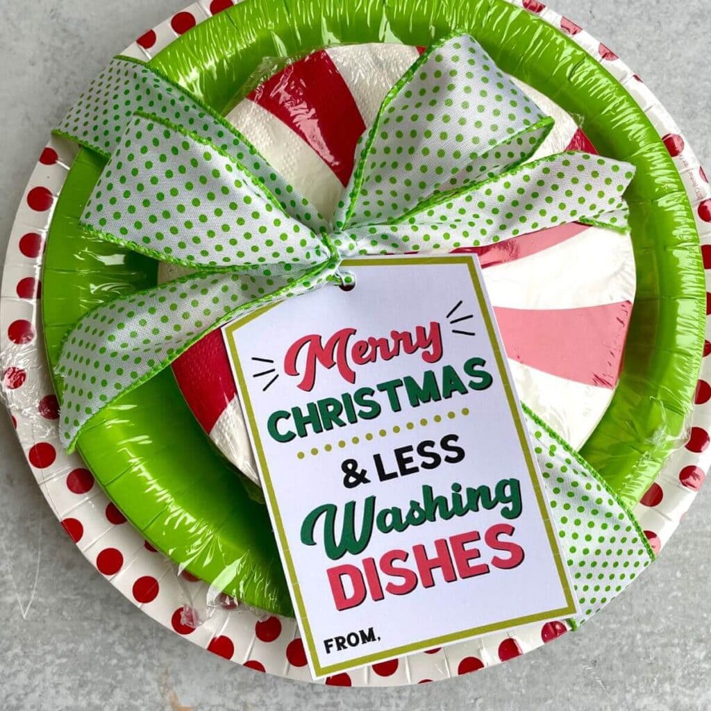 https://thesavvysparrow.com/wp-content/uploads/2022/12/paper-plate-less-dishes-Christmas-gifts-1024x1024.jpg