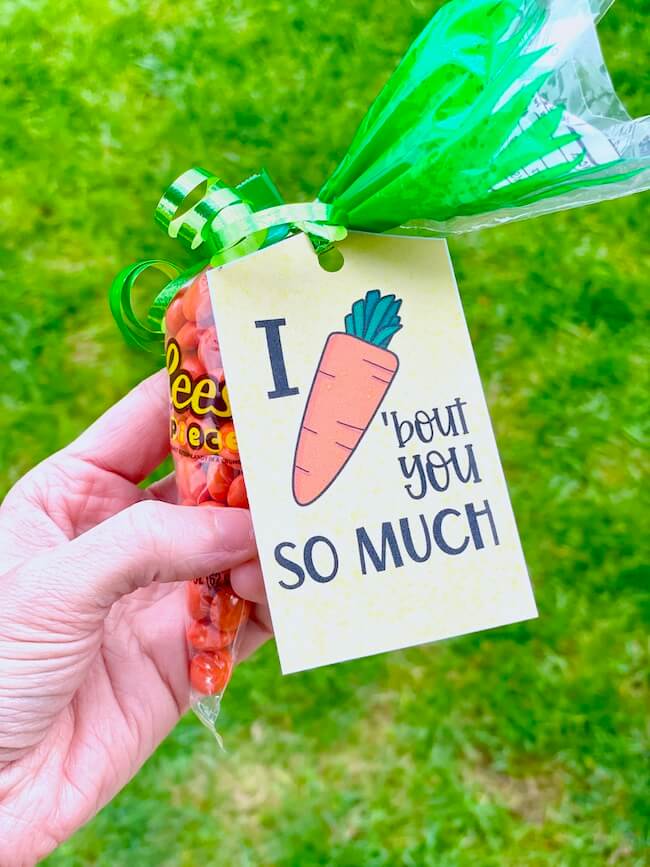 printable Easter gift tag that says I carrot 'bout you so much