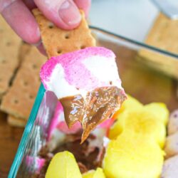 dipping a graham cracker into peeps s'mores dip