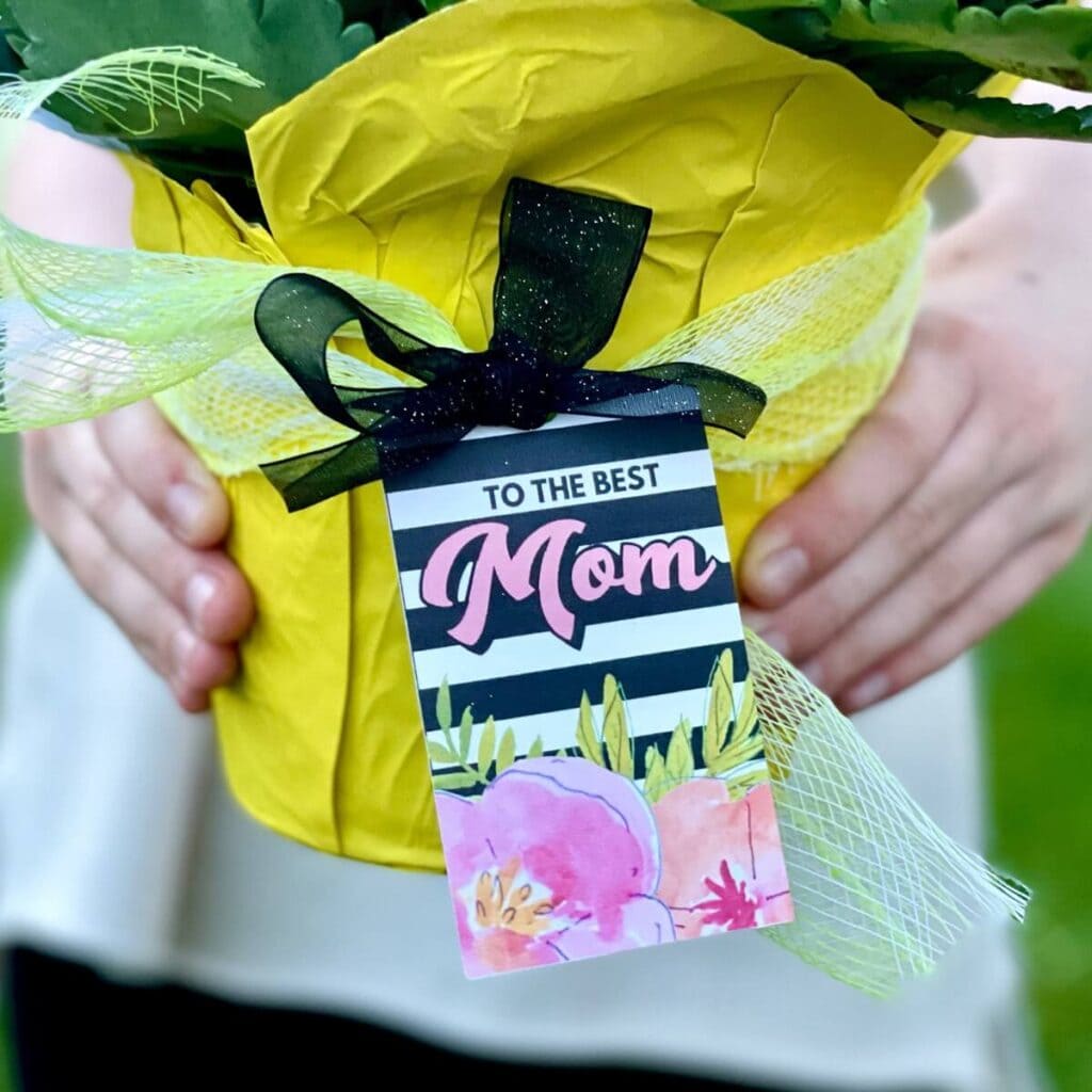 Mother's Day gift tag on a potted flower