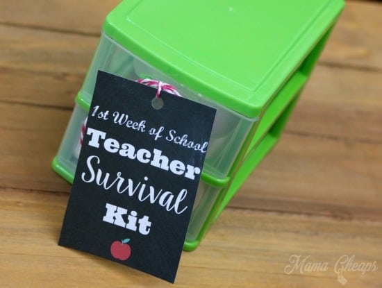 DIY teacher survival kit
