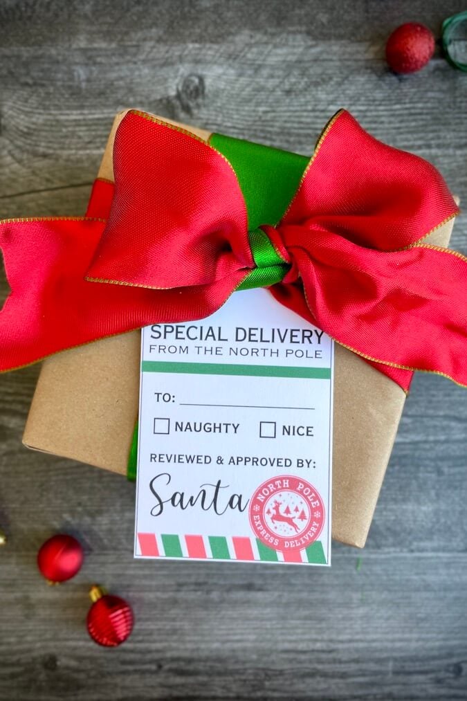 special delivery santa gift tag