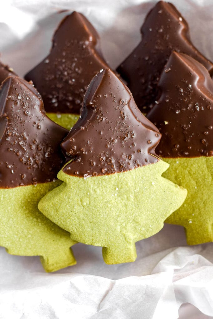 matcha and chocolate Christmas tree cookies