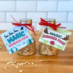 The Cutest Magic Reindeer Food Printable Tags Ever!