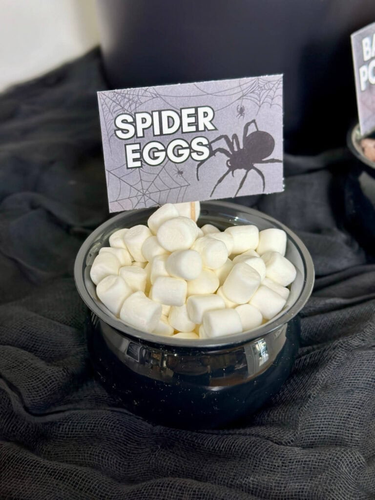 mini marshmallows in a small black bowl with a printable sign that says spider eggs