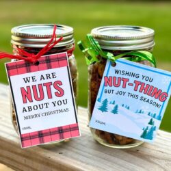 free printable nuts about you Christmas gift tags for mixed nuts