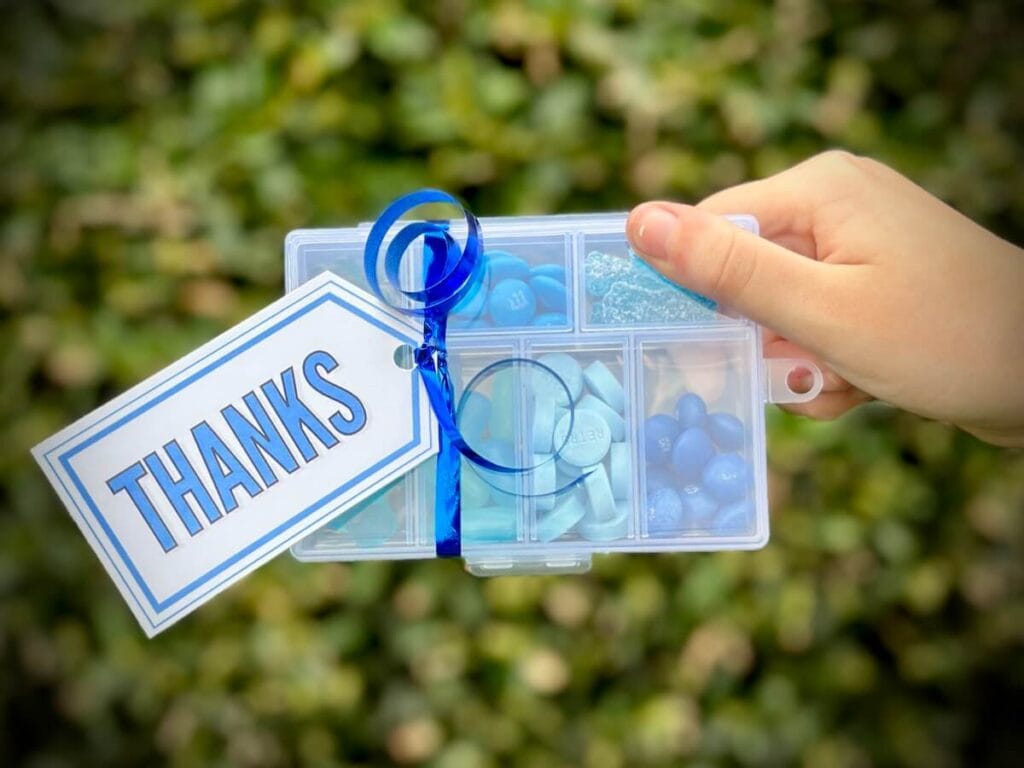 small plastic tackle box filled with different blue candies