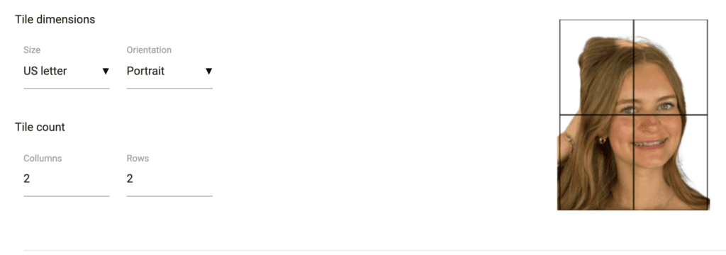 screenshot of rasterbator program showing how to make a tiled print