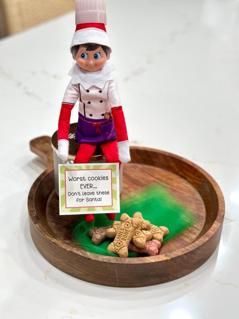 Elf on the Shelf with dog biscuits and a sign that says the cookies have gone bad