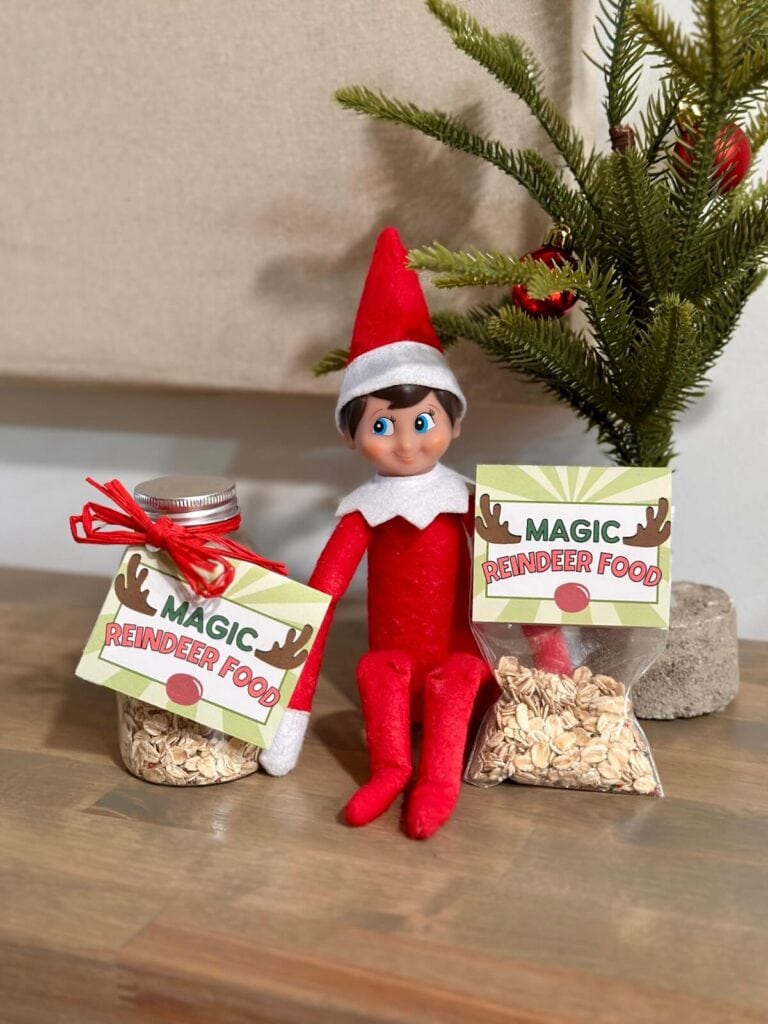 Elf on the Shelf with magic reindeer food