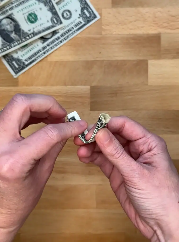 folding a dollar bill in half